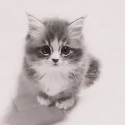 Aya