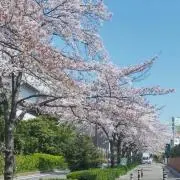 メグ&アヤ