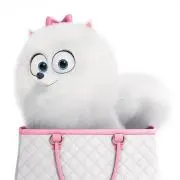 mimi