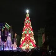 kkmの画像