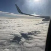 さきいかの画像