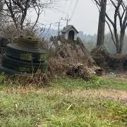 犬小屋