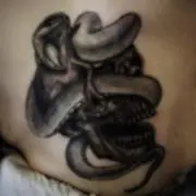 ワイ