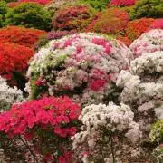 颯季【検討者様プルフィール一読希望】の画像
