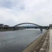 たぬきち商店の画像