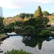 みっきー