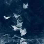 なるの画像