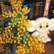 ayaの画像