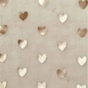 Nの画像