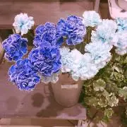 ar