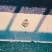 はむ子