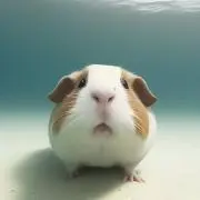 あいそん
