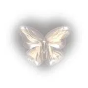 a♡⃛の画像