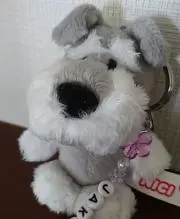 yukichanの画像