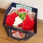 kamesanの画像