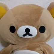 ここの画像