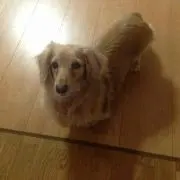manaママ