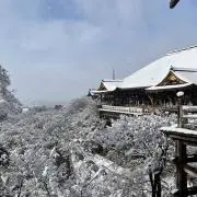 たける