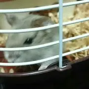 あー、