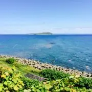 suの画像