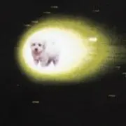 爻/プロフ確認お願いしますの画像