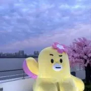 めーぷるちゃんの画像