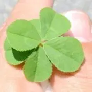 みなもの画像
