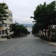 トノっちの画像