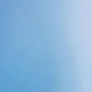 にぎりの画像