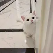 るの画像