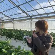 おせんべちゃんの画像