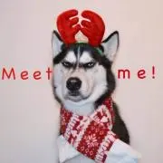 jamjamの画像
