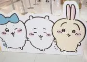 ひまわり☆おまとめ大歓迎＾＾の画像