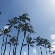 ゆうきの画像