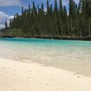 まるこ♪断捨離中♪の画像