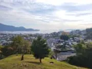なびぃの画像