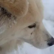 ま～