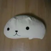 はっさくの画像