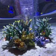 ひなたの画像