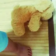 こいまる✽プロフ必読✽