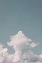 ayamanの画像