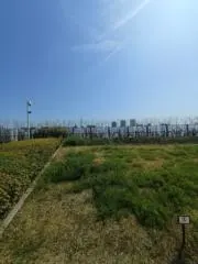 Image of キャンタ