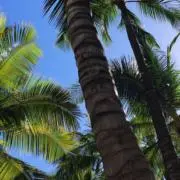 山﨑賢人の画像