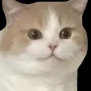 北南