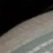 ひむの画像