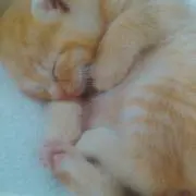 めぐみぃ〜♪プロフィール読んでねの画像