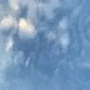 lalalaの画像
