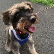 くう