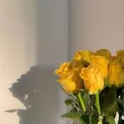 ♡の画像