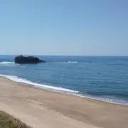 日本海